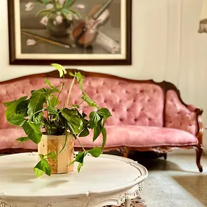 Hotel Boutique Fiorentina, Medellín